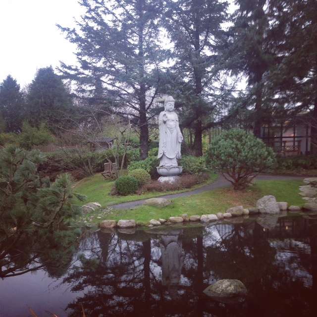foto-5