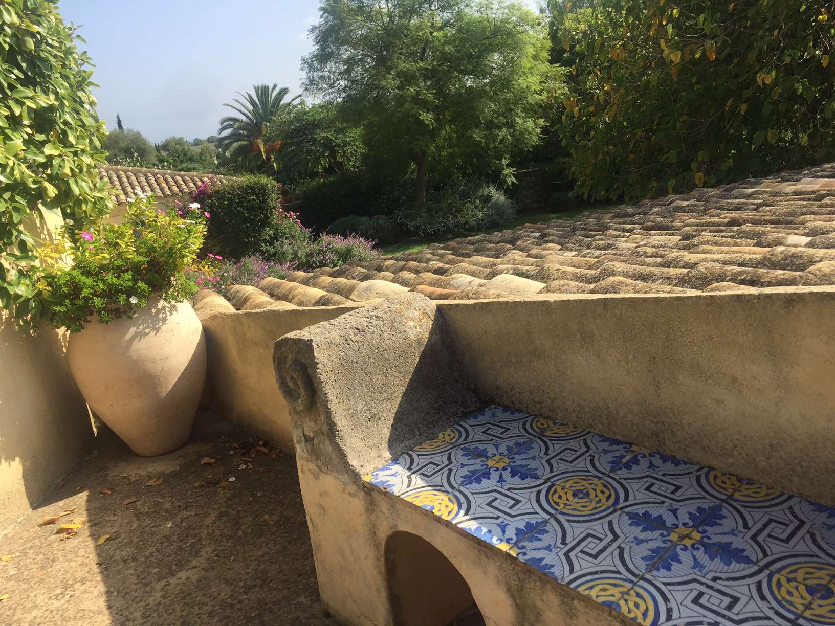 img_8311